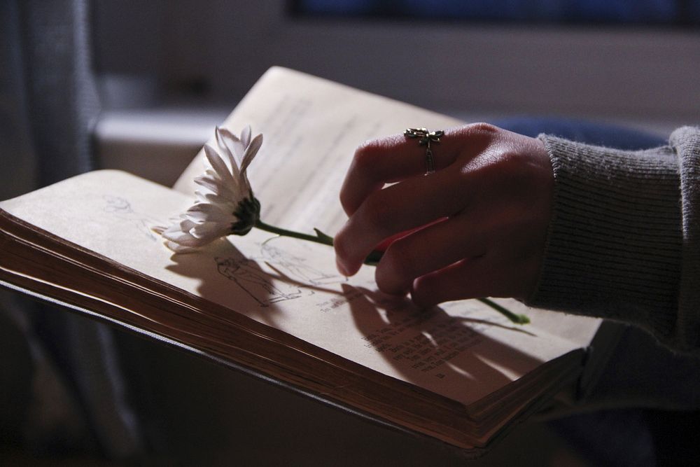 Free open book with person holding flower image, public domain CC0 photo.