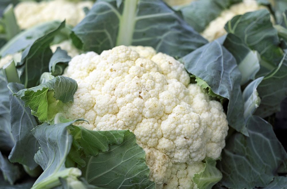 Free cauliflower close up image, public domain vegetables CC0 photo.public domain CC0 photo.