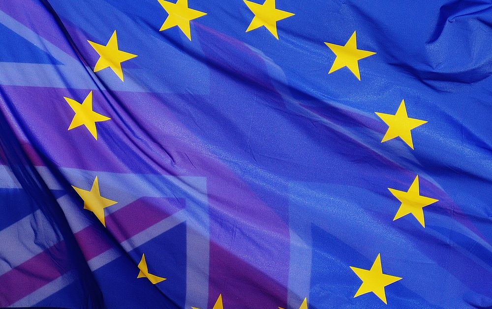 Free European Union flags image, public domain CC0 photo.