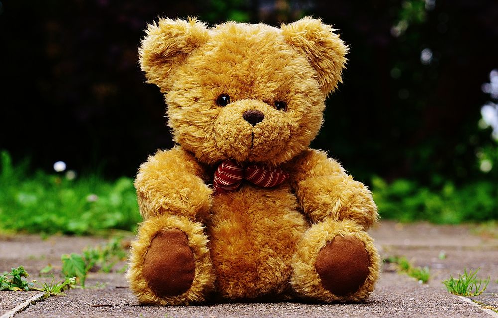 Teddy bear. Free public domain CC0 photo.