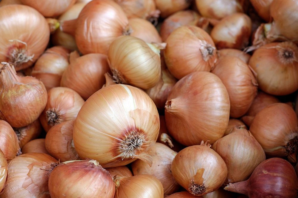 Free pile of onions close up photo, public domain vegetables CC0 image.