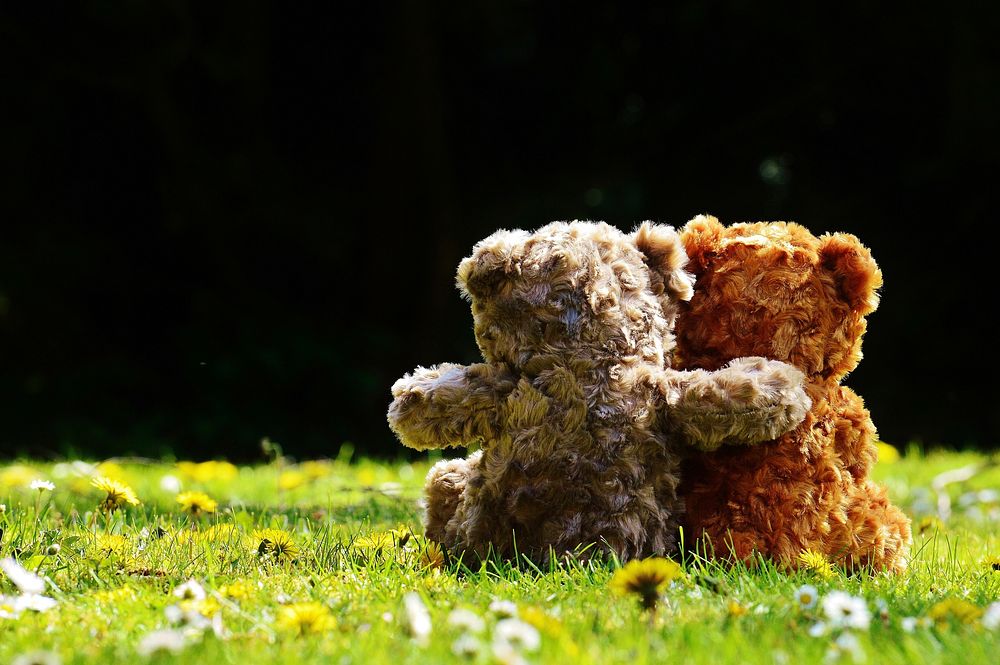 Free cute teddy bears background, public domain CC0 photo.