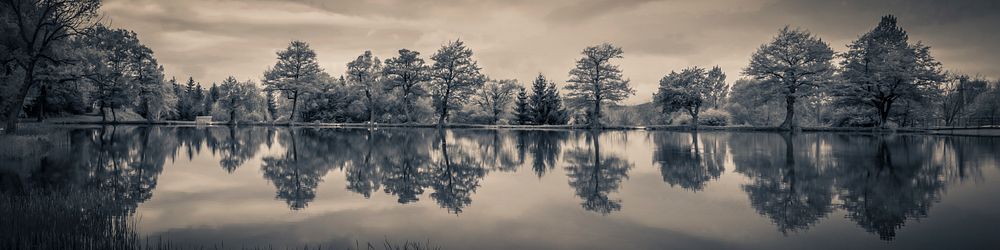 Free trees surrounding a lake image, public domain nature CC0 photo.