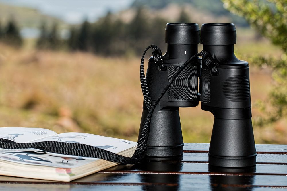 Binoculars on a bench in nature, free public domain CC0 image.