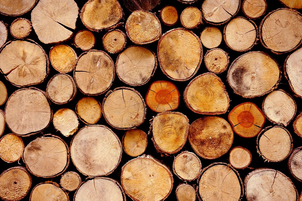 Free wood image, public domain CC0 photo.