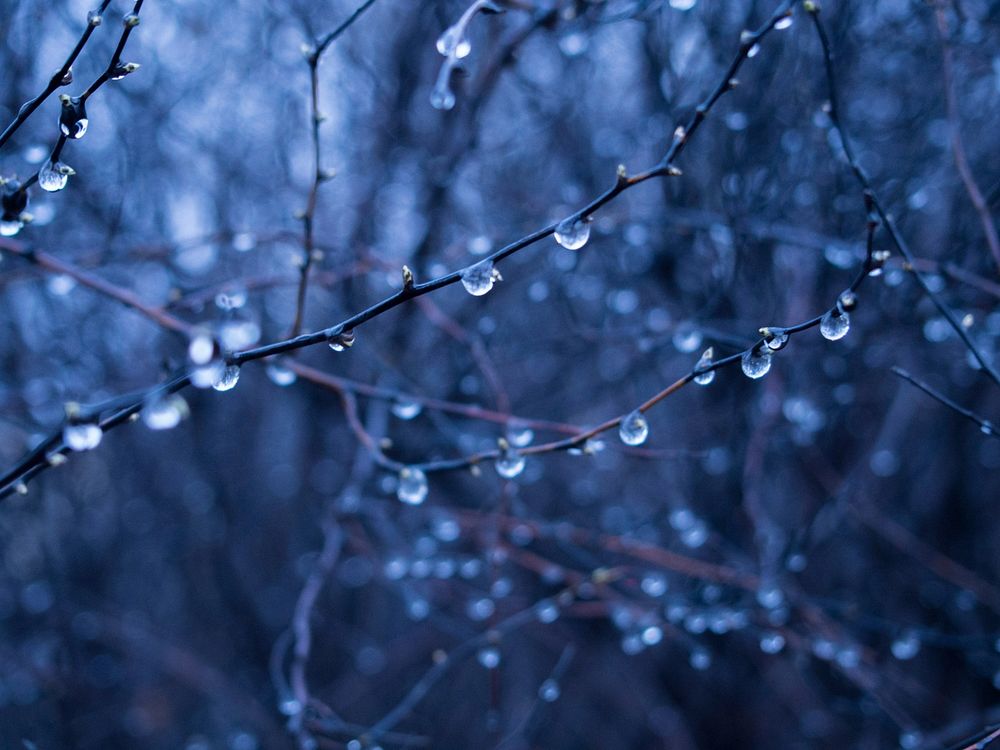 Free rain aesthetic, nature background, public domain CC0 photo.