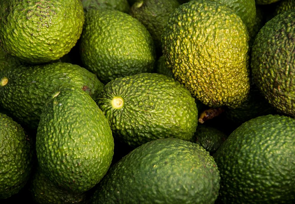 Free avocado public domain fruit CC0 photo.