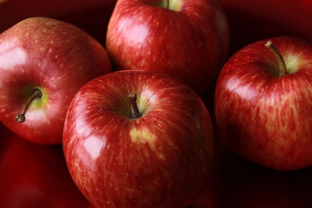 Free apple image, public domain fruit CC0 photo.