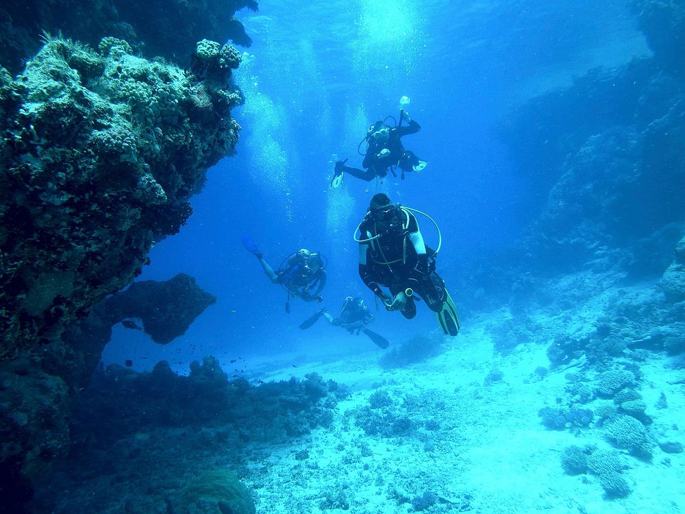 Free person diving in sea image, public domain travel CC0 photo.