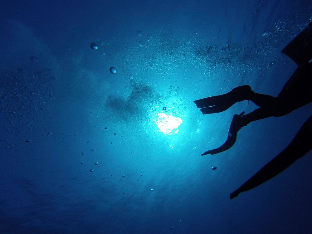 Free snorkeling image, public domain activity CC0 photo.