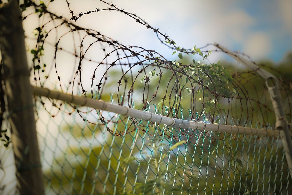 Free barbes wire fence photo, public domain protection CC0 image.