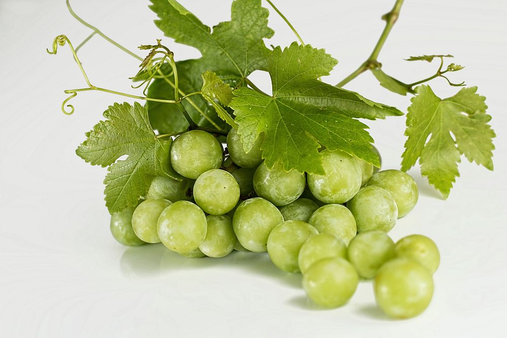 Free green grapes with leaves in white background photo, public domain vegetable CC0 image.