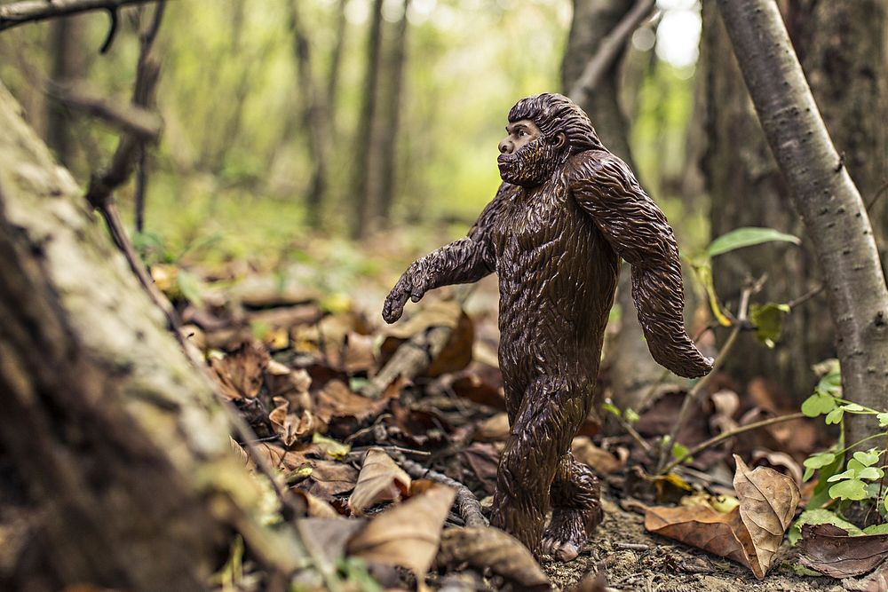Free plastic Bigfoot toy walking in the forest image, public domain CC0 photo.