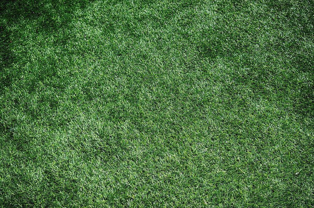 Free closeup on green lawn image, public domain grass CC0 photo.