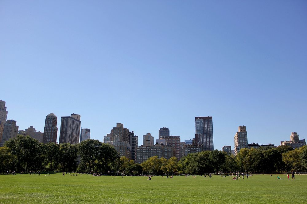 Free Sheep Meadow image, public domain CC0 photo.