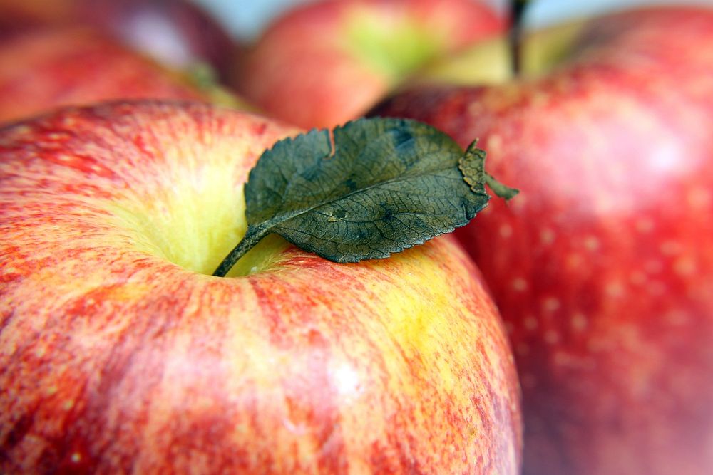 Free apple image, public domain fruit CC0 photo.