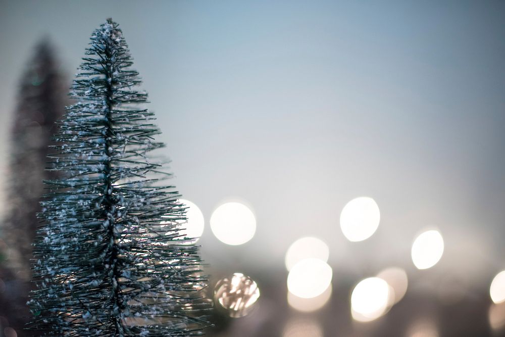 Free Christmas bokeh image, public domain holiday CC0 photo.