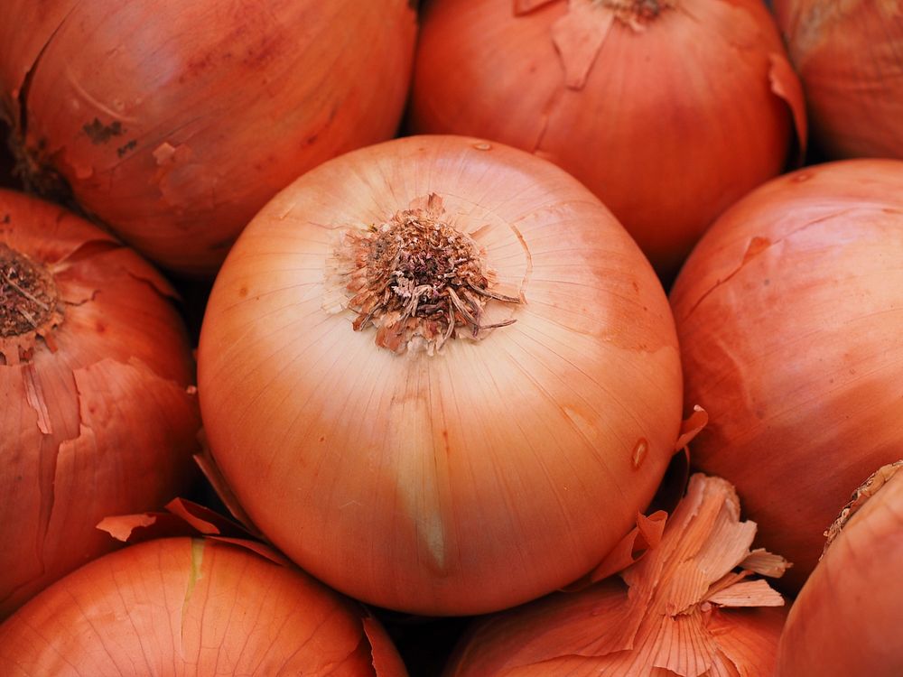 Free onion close up background, public domain vegetable CC0 image.