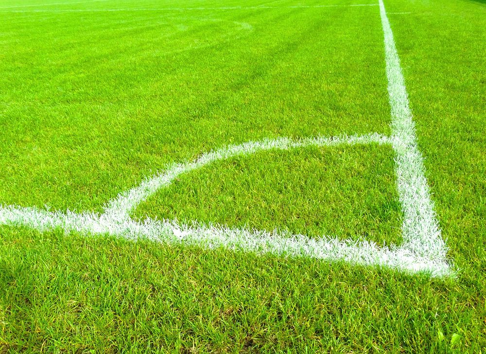 Free soccer field with lines closeup photo, public domain sport CC0 photo.