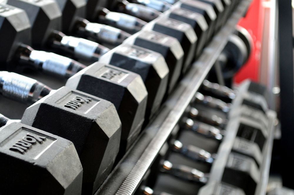 Free gym dumbbell on rack photo, public domain fitness CC0 image.