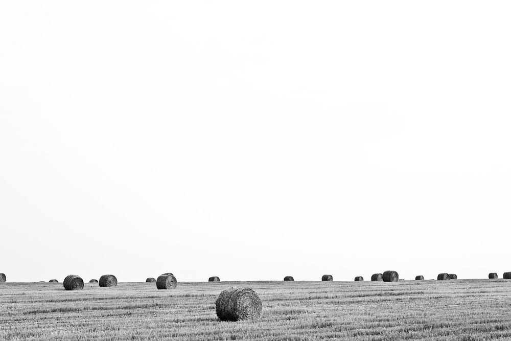 Round bales, free public domain CC0 photo