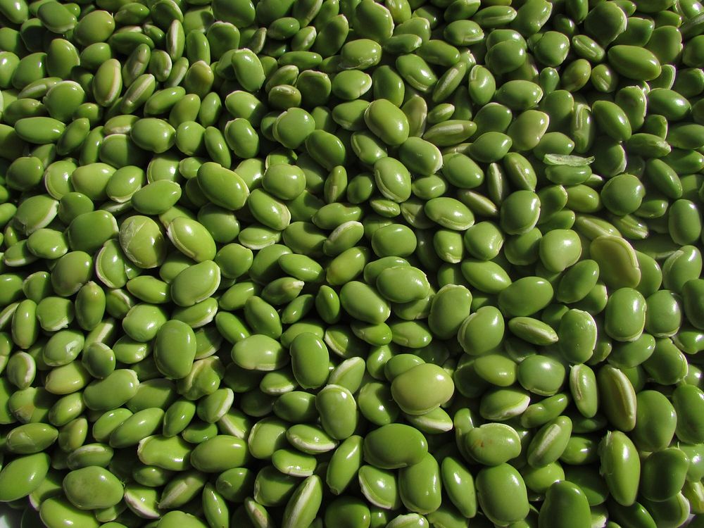 Free pile of peeled green beans photo, public domain food CC0 image.
