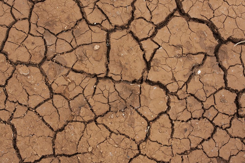 Dry climate nature landscape photography photo, free public domain CC0 image.