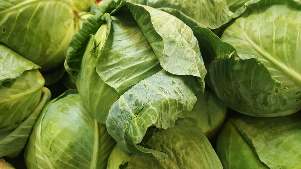 Free green cabbage background image, public domain vegetables CC0 photo.