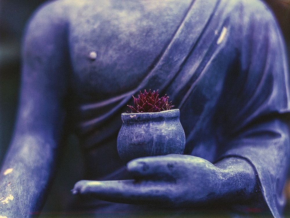Free half body buddha statue image, public domain people CC0 photo.