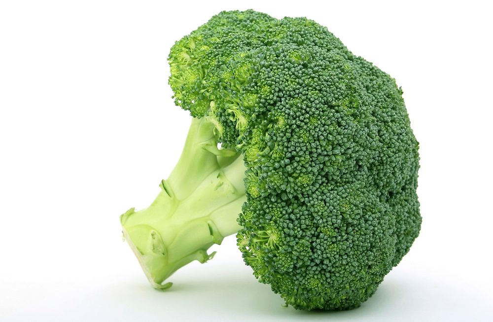 Free closeup of broccoli on white background photo, public domain CC0 image.