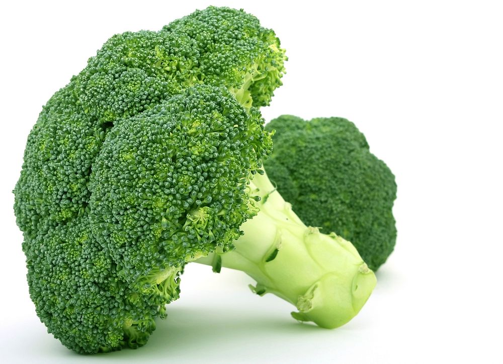 Free closeup of a big broccoli on white background image, public domain CC0 photo.