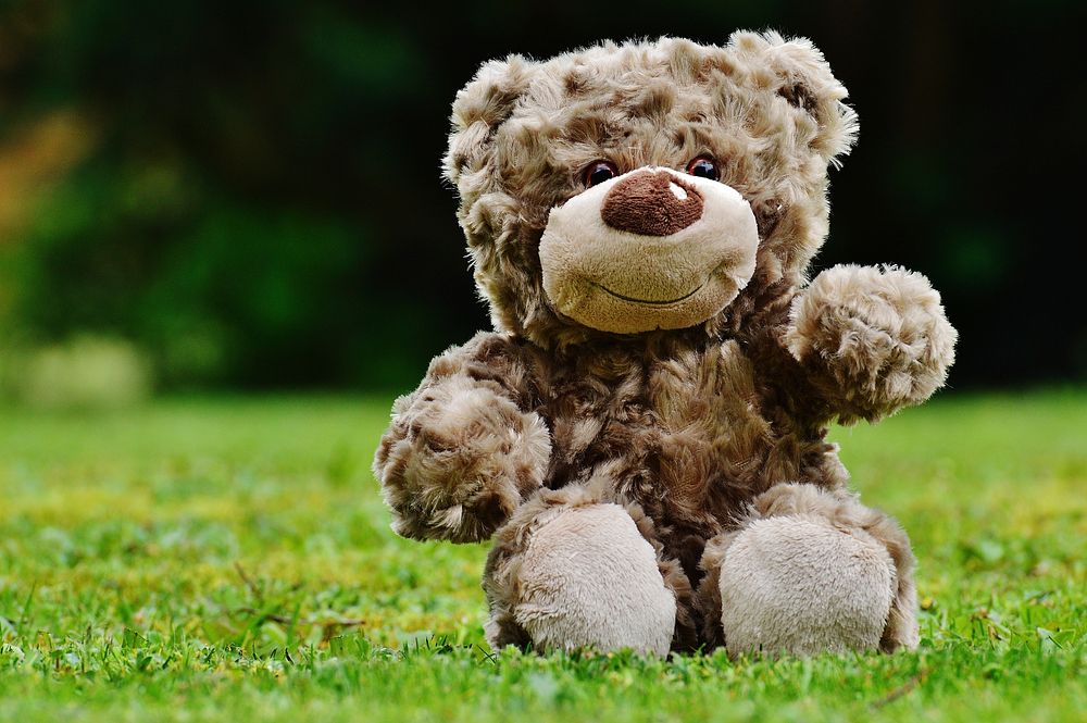 Free teddy bear on grass image, public domain CC0 photo.