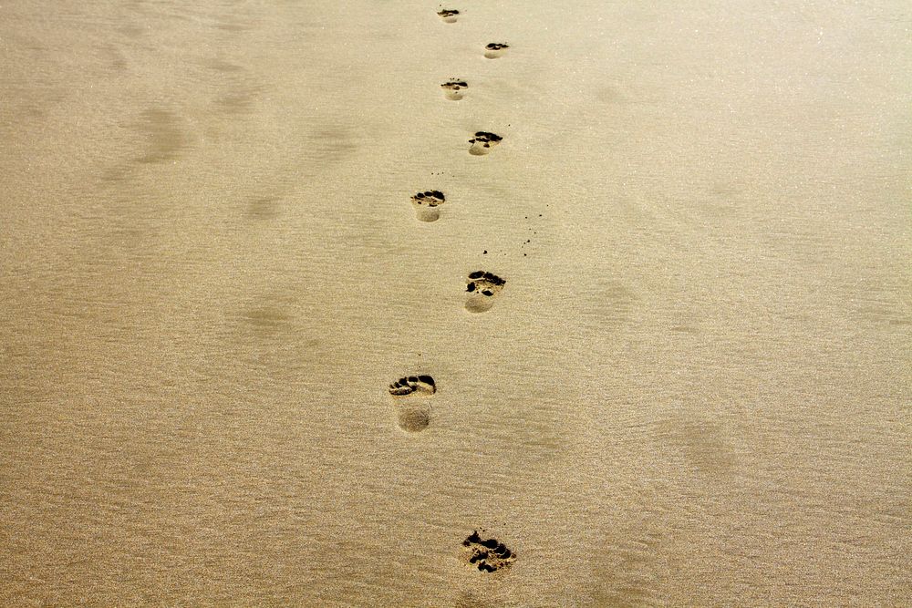 Free footprints on sand, travel background, public domain CC0 photo.
