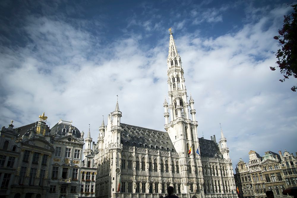 Free Brussels Town Hall photo, public domain architecture CC0 image.