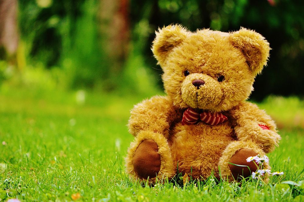 Free teddy bear doll on grass image, public domain toy CC0 photo.