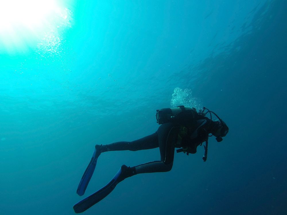 Free person scuba diving image, public domain underwater CC0 photo.