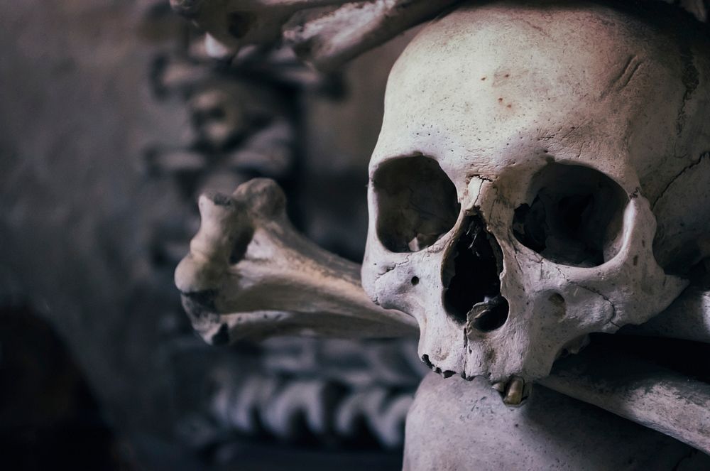 Free skull and bones image, public domain Halloween CC0 photo.