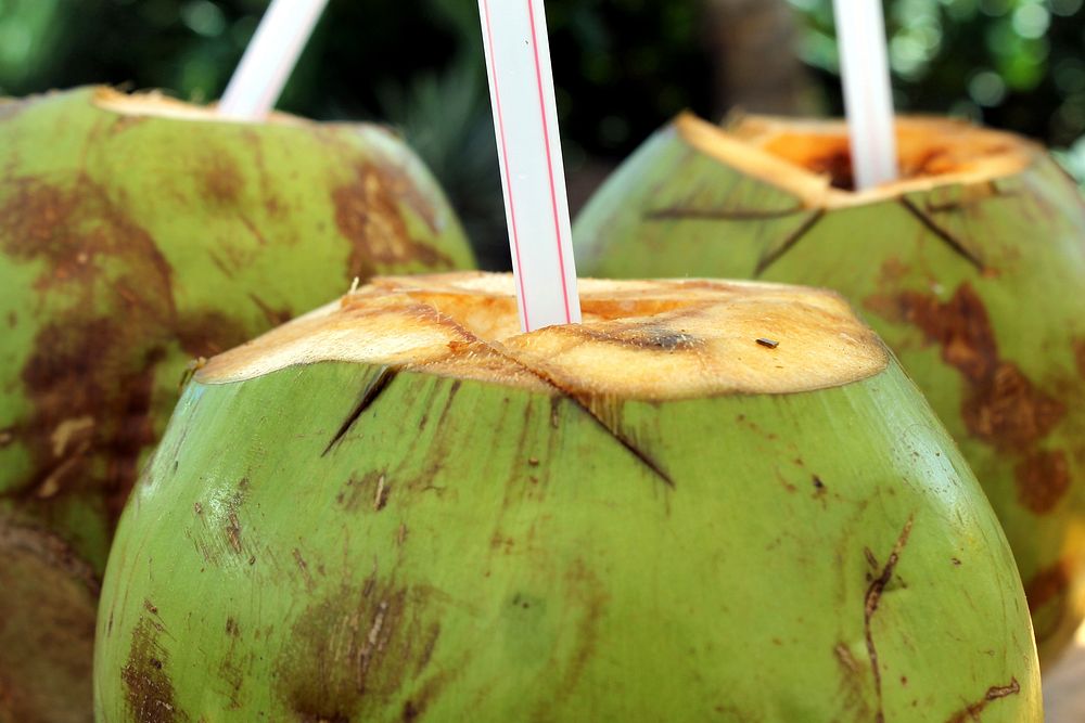 Free coconut drink image, public domain food CC0 photo.