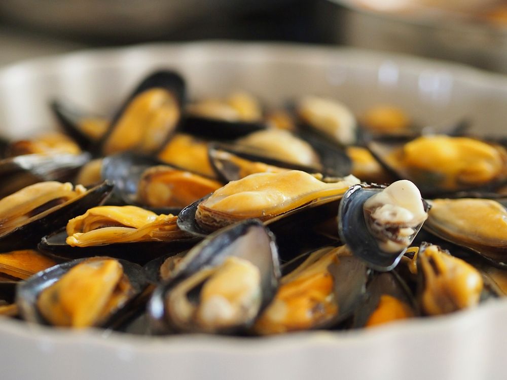 Free steamed mussels image, public domain food CC0 photo.