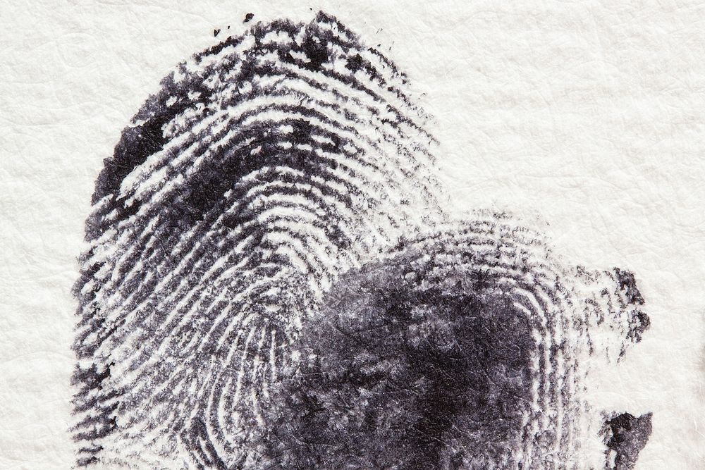 Free black fingerprints on white paper image, public domain CC0 photo.