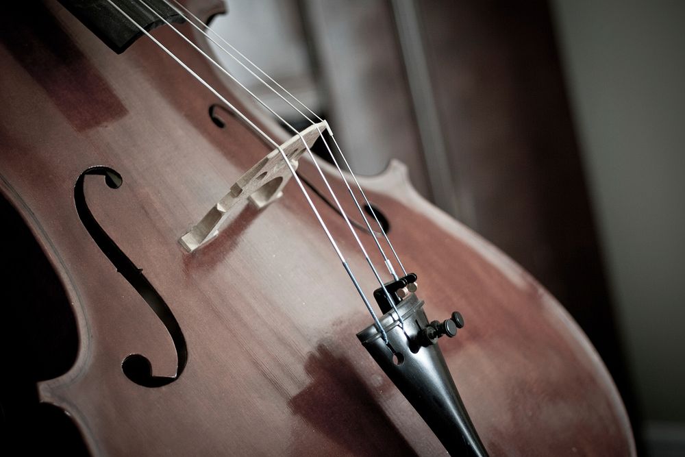 Free violin image, public domain musical instrument CC0 photo.