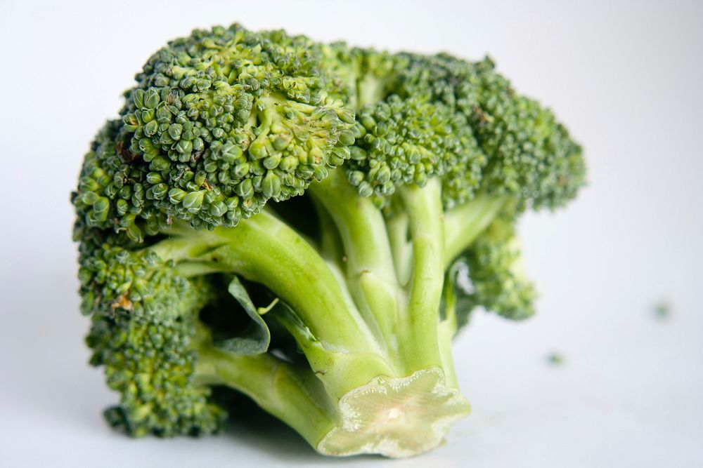 Free closeup of broccoli image, public domain CC0 photo.