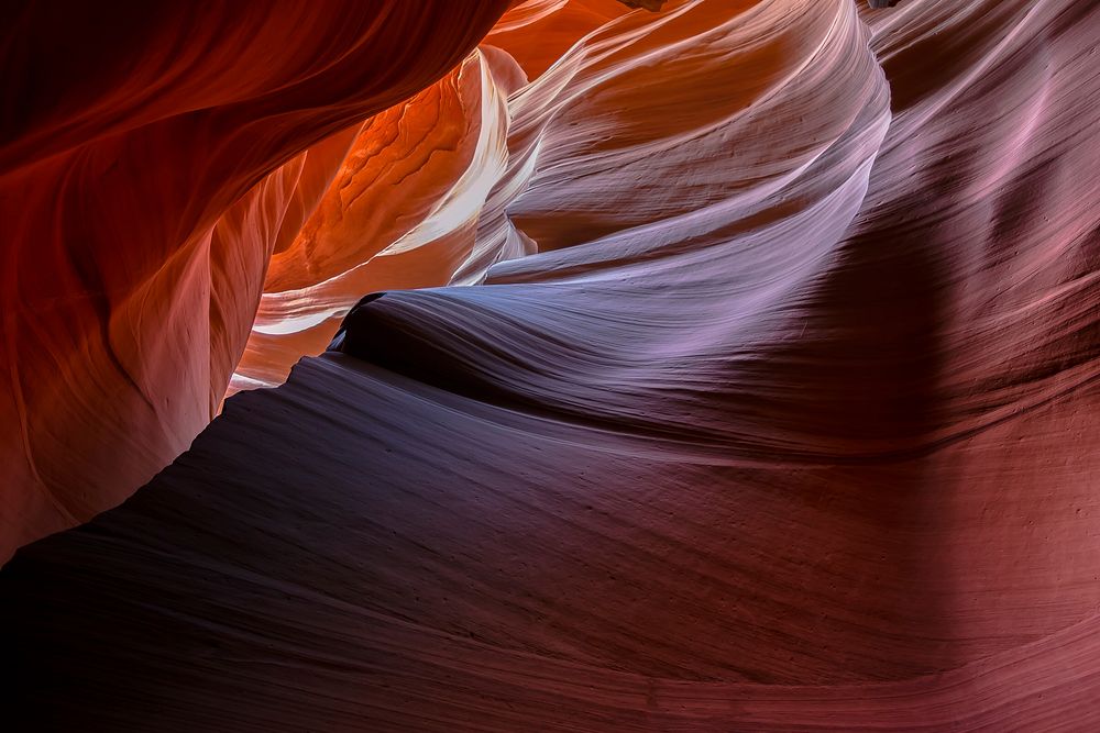 Free antelope canyon wall background, public domain flower CC0 photo.