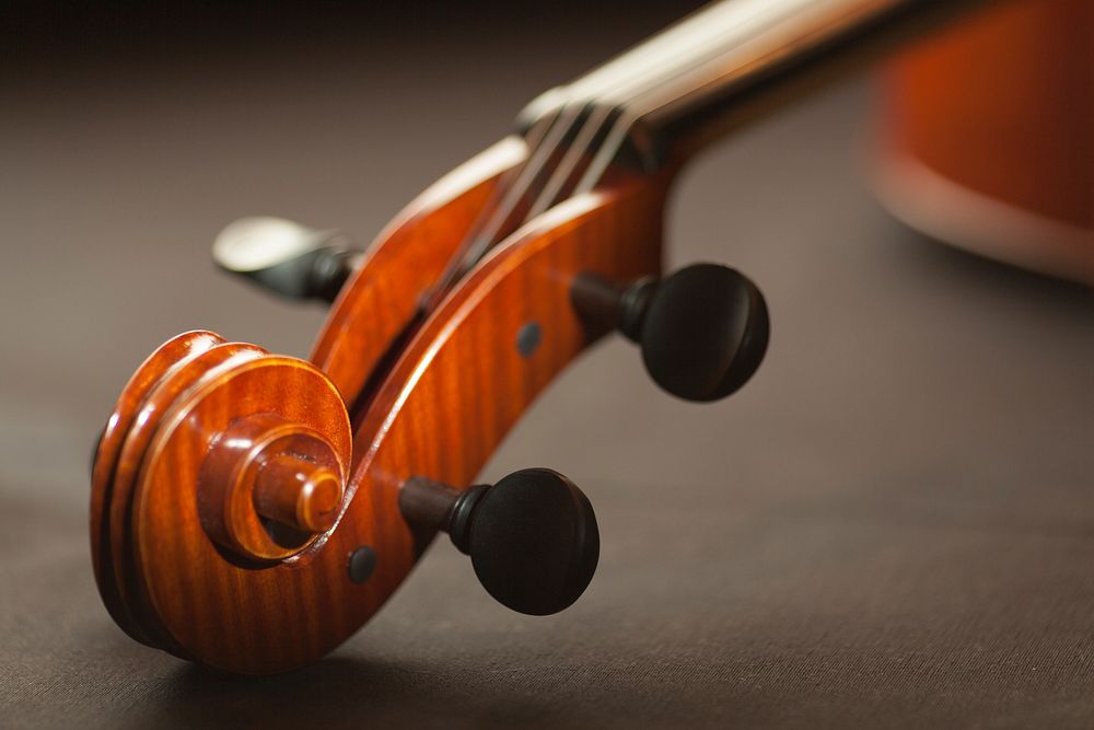 Free violin image, public domain musical instrument CC0 photo.