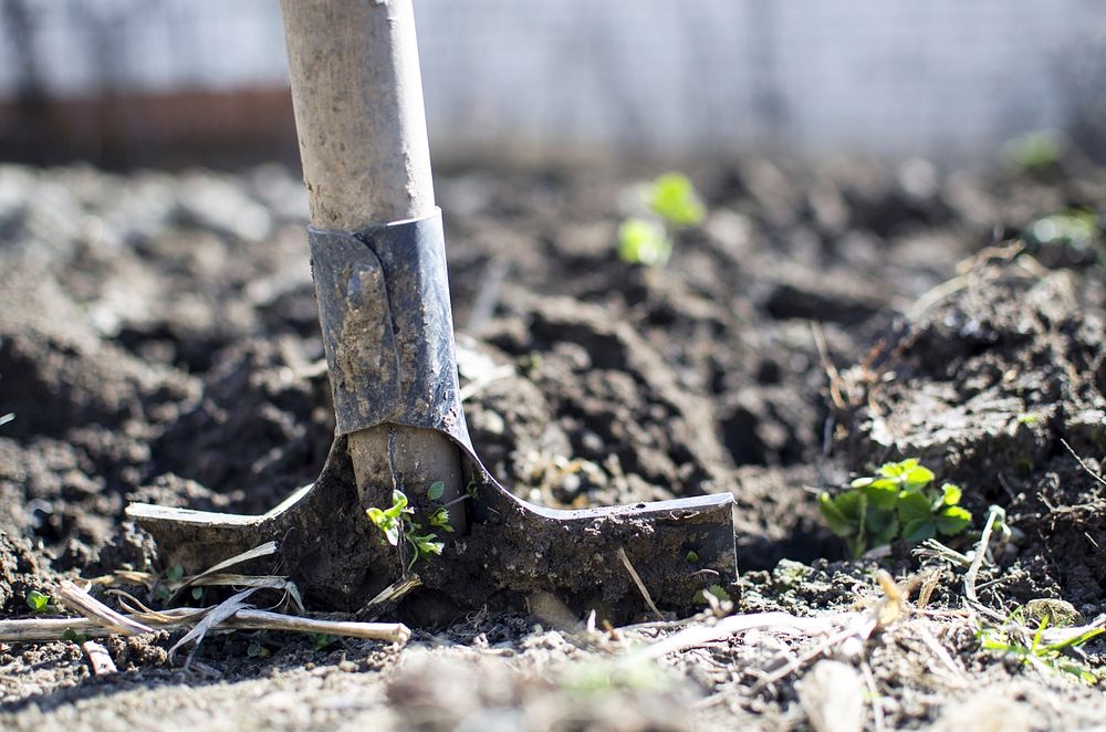 Free spade in soil image, public domain CC0 photo.