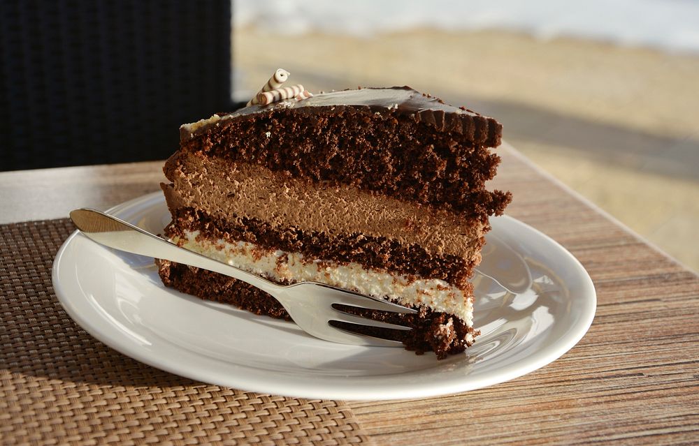 Free chocolate cake slice on plate image, public domain dessert CC0 photo.