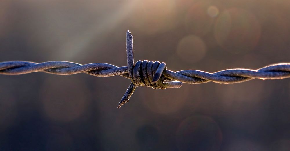 Free barbed wire photo, public domain fences CC0 image.