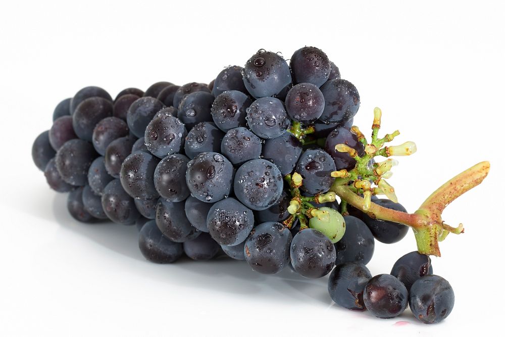 Free grape public domain fruit CC0 photo.