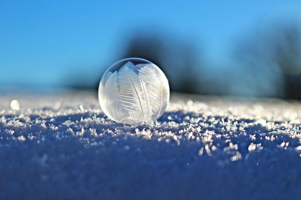 Free frozen water droplet image, public domain winter CC0 photo.
