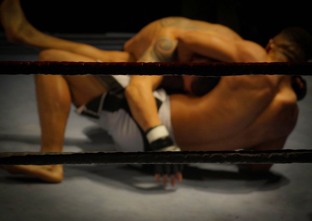 Wrestling ring, free public domain CC0 photo